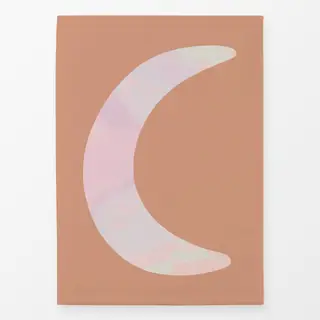 Geschirrtücher Mond