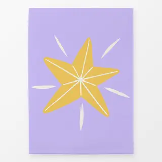 Geschirrtücher Magic Star