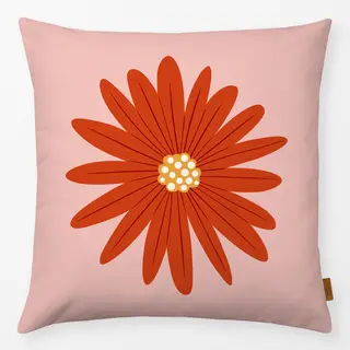 Kissen Herbst Aster Blume Rot