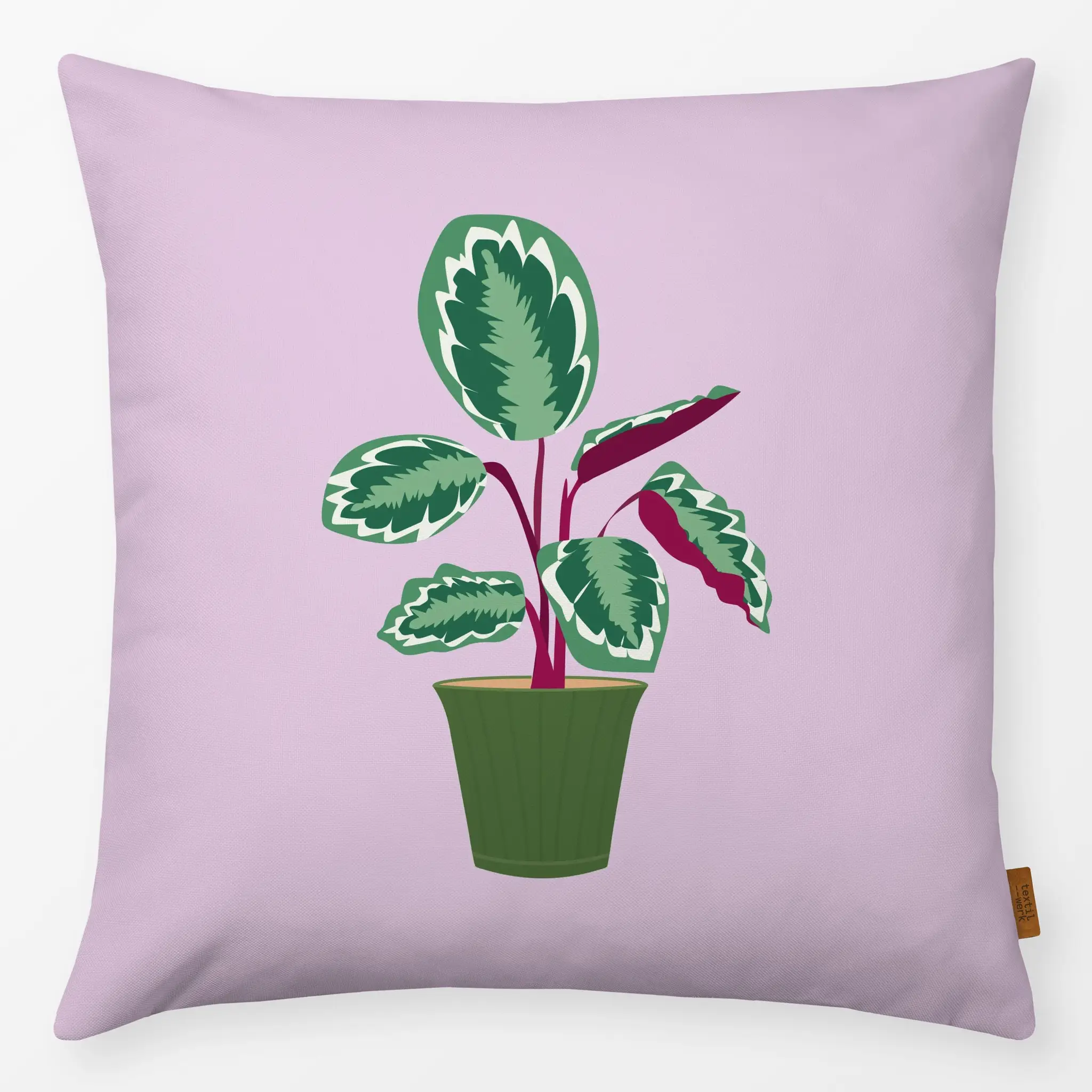 Kissen Calathea Zimmerpflanze - Pflanzen & Botanik, Safari & Dschungel - von „lena marie design"; Pflanzen, calathea, zimmer...