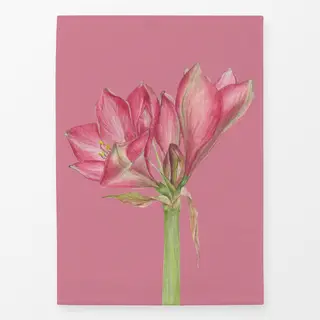Geschirrtücher rosa