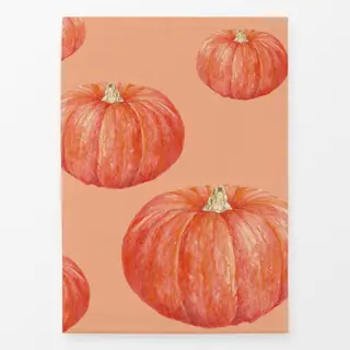 Geschirrtücher orange