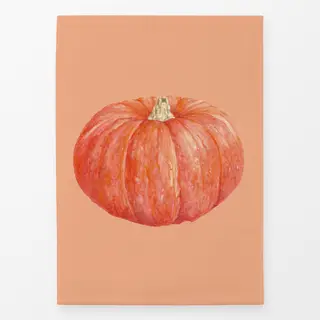 Geschirrtücher orange
