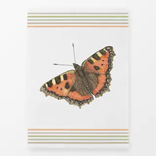 Geschirrtücher Schmetterling - Kleiner Fuchs