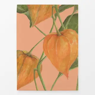 Geschirrtücher orange