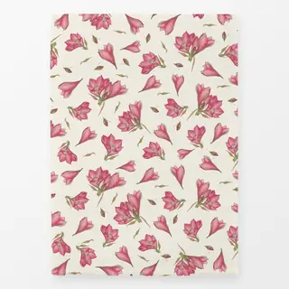 Geschirrtücher creme-weiß