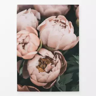Geschirrtücher Peonies coral