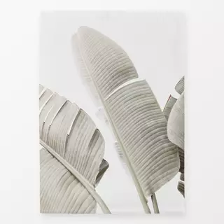 Geschirrtücher Hoja de banana