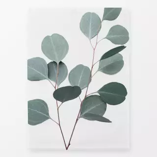 Geschirrtücher Silver Leaf