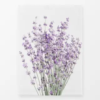 Geschirrtücher Botanical 5