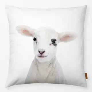 Kissen Baby Sheep