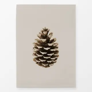 Geschirrtücher Pine Cone