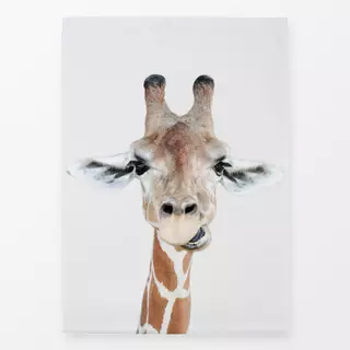 Geschirrtücher Chewing Giraffe