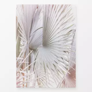 Geschirrtücher Palmera