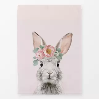 Geschirrtücher Bunny