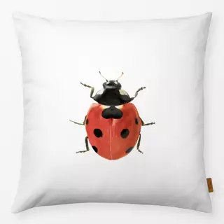 Kissen Ladybug