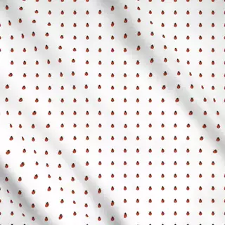 Meterware Ladybug