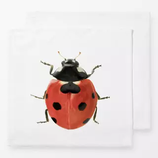 Servietten Ladybug
