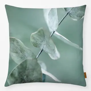Kissen Eucalyptus 9