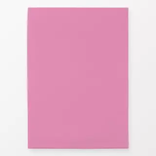Geschirrtücher colors Babypink