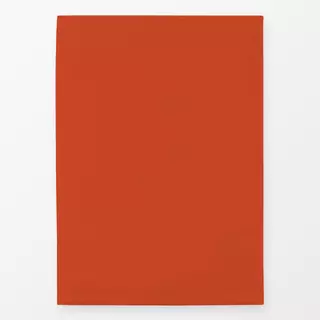 Geschirrtücher colors Rot