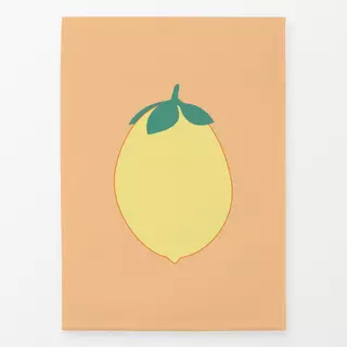 Geschirrtücher Vintage Zitrone Peach