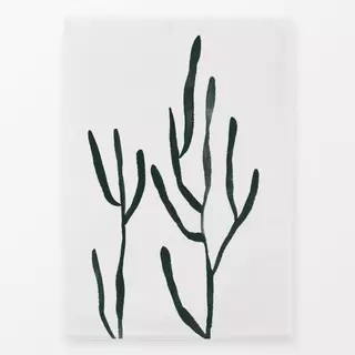 Geschirrtücher Algae 2