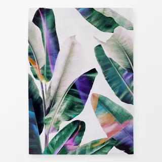 Geschirrtücher Tropical 1