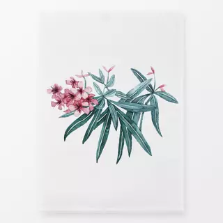Geschirrtücher Tropische Oleanderblüten pink