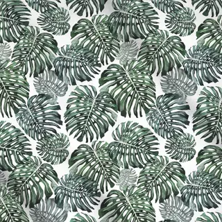 Meterware Monstera Deliciosa Jungle
