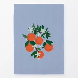 Geschirrtücher Orange