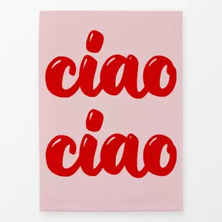 Geschirrtücher Ciao ciao