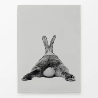 Geschirrtücher Rabbit no23