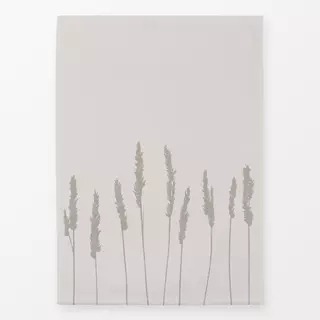 Geschirrtücher Strandhafer Beige Hell