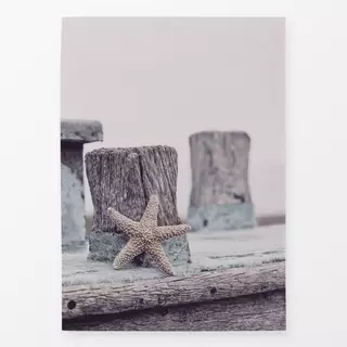 Geschirrtücher Seaside Impression