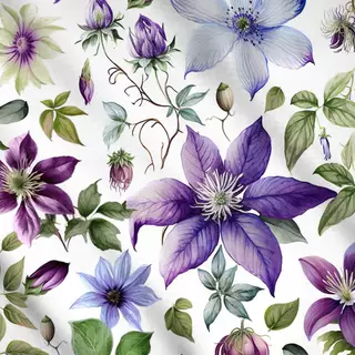 Meterware Charming Clematis