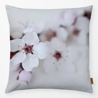 Kissen Sakura