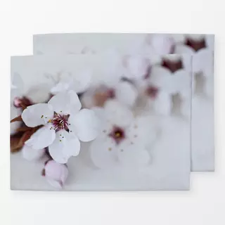 Tischset Sakura