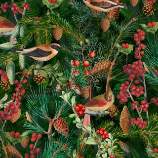 Meterware Birds In The Winter Forest