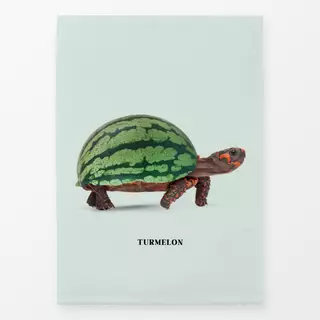 Geschirrtücher Turmelon
