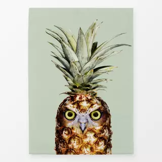 Geschirrtücher Pineappleowl