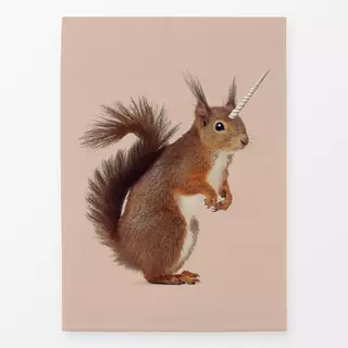 Geschirrtücher Einhörnchen