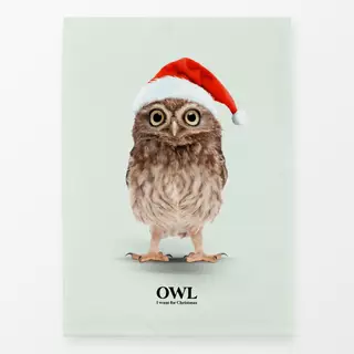 Geschirrtücher Owl I Want For Christmas