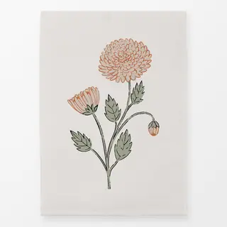 Geschirrtücher Chrysantheme