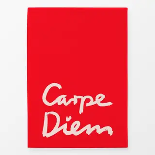 Geschirrtücher Carpe Diem Rot Wendekissen
