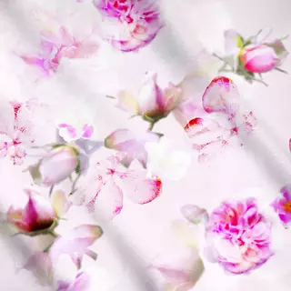 Meterware Whisper of Roses