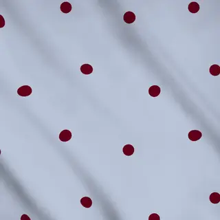Meterware Punkte Hellblau & Bordeaux