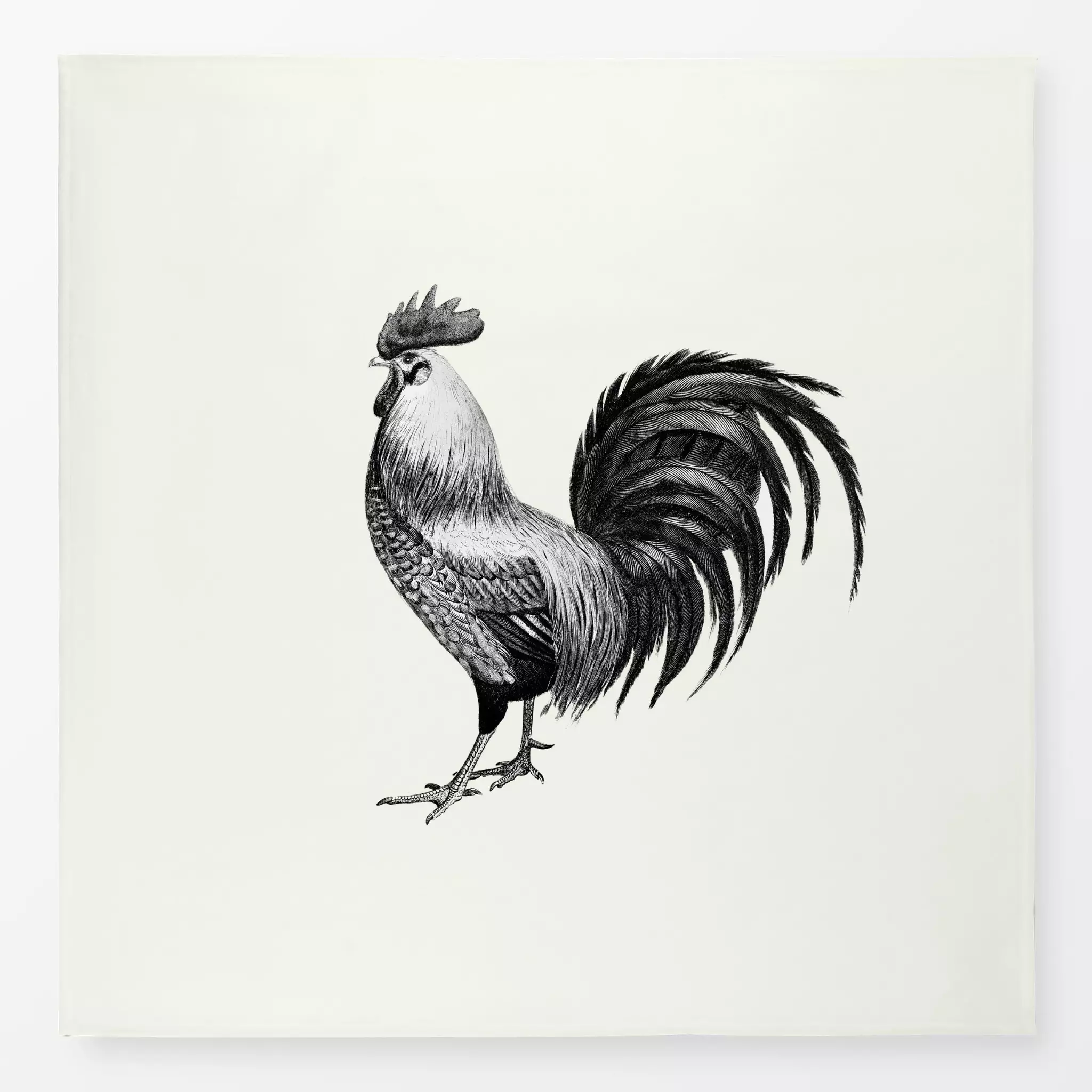Tischdecke The Vintage Rooster, Tiere, Ostern, von Monika Strigel