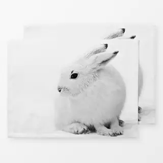 Tischset Schneehase im Winter