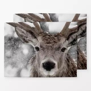 Tischset Hirsch im Schnee
